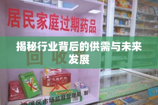 东莞揭秘行业背后的供需与未来发展