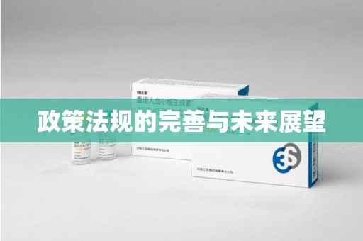 东莞政策法规的完善与未来展望