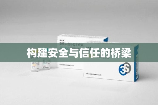 东莞构建安全与信任的桥梁