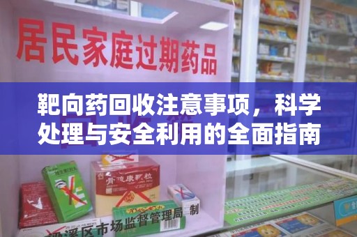 东莞靶向药回收注意事项，科学处理与安全利用的全面指南