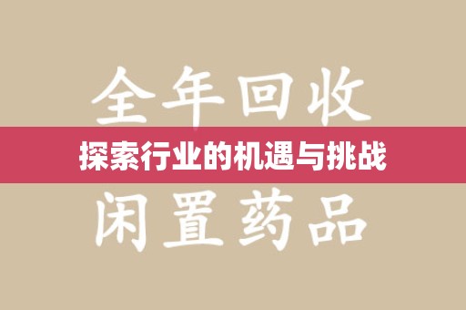 东莞探索行业的机遇与挑战